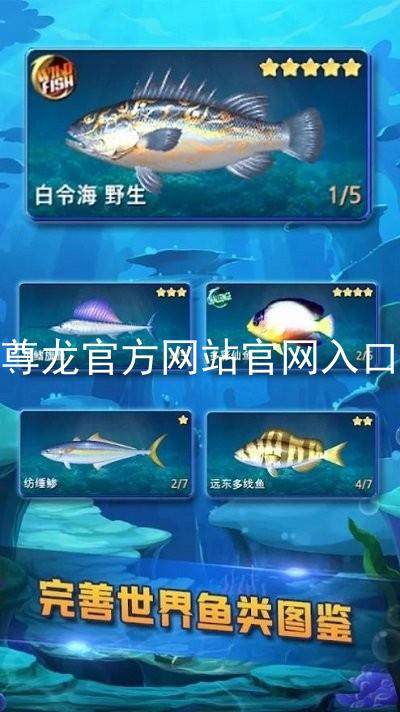 尊龙官方网站官网入口