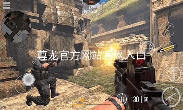 尊龙官方网站官网入口