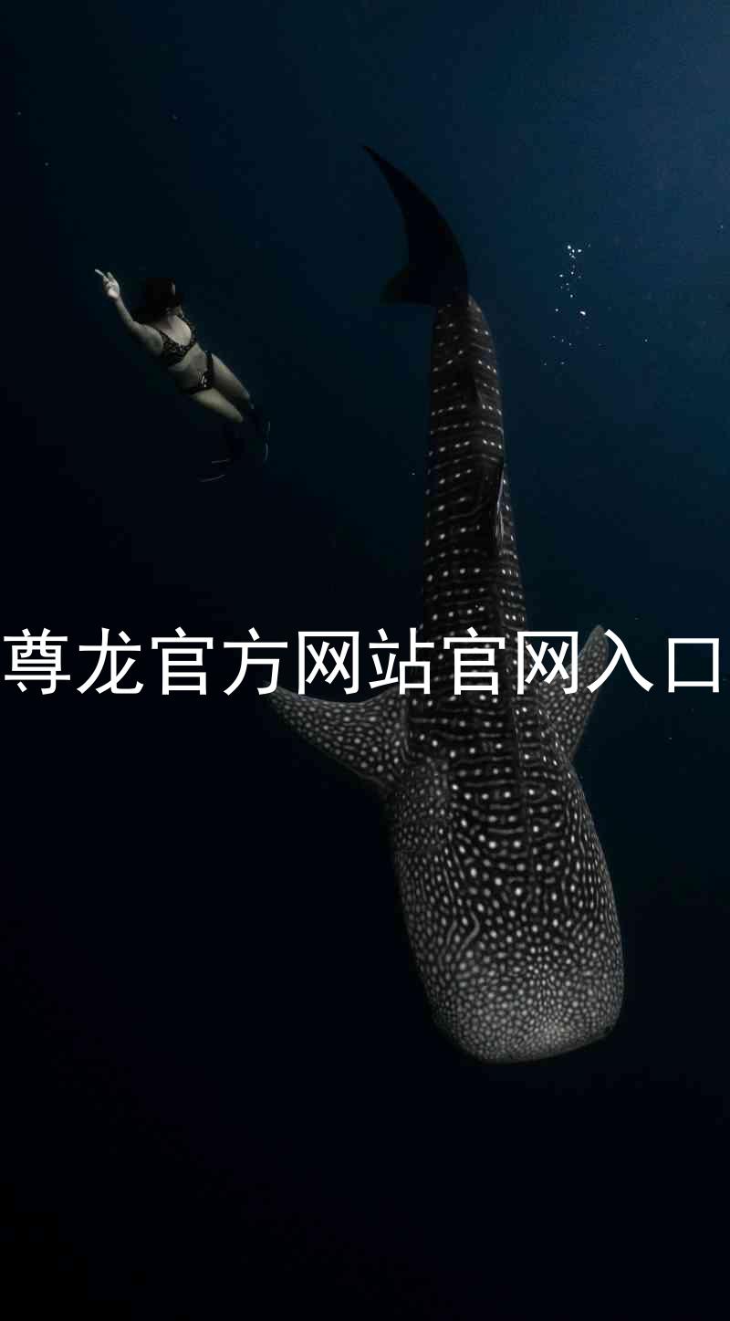 尊龙官方网站官网入口