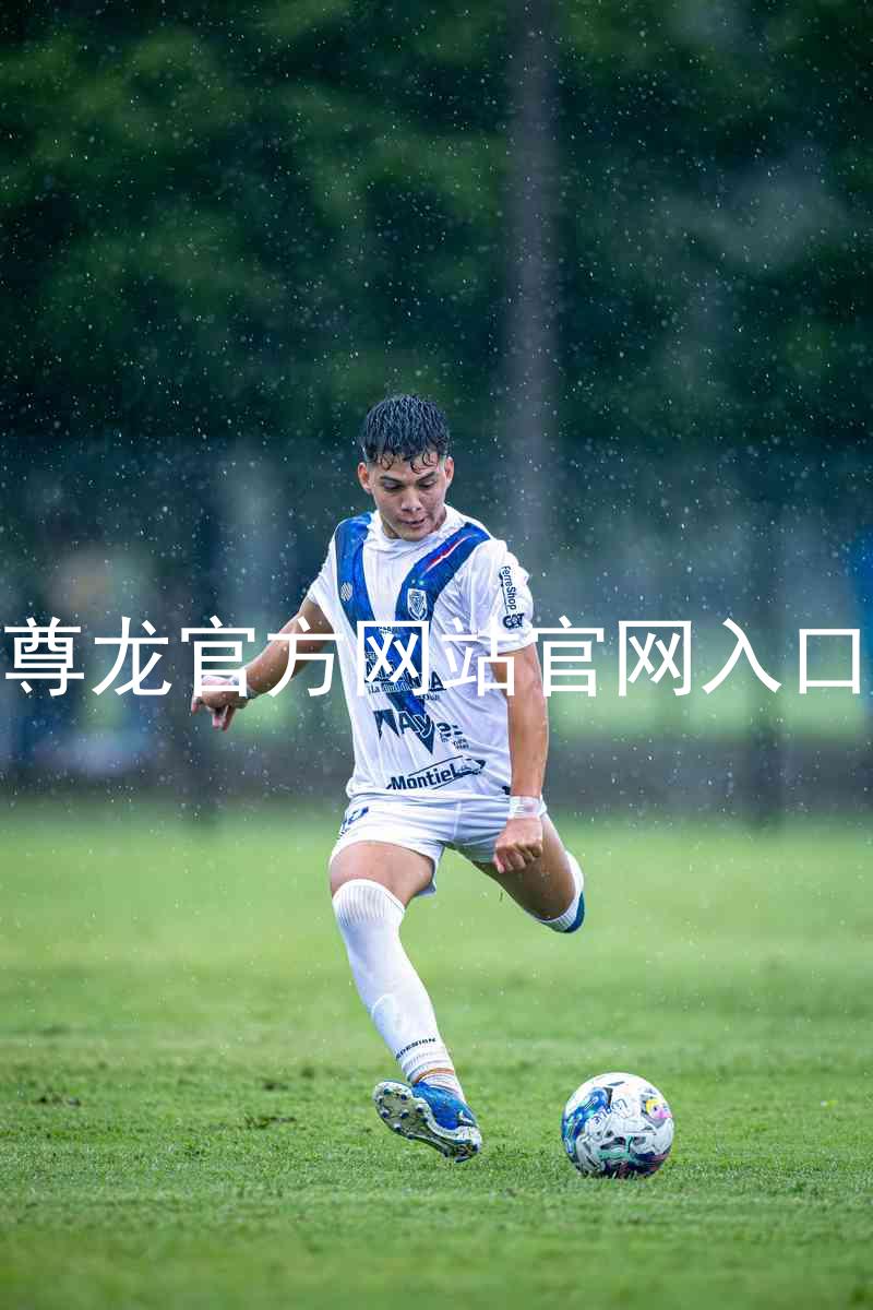 尊龙官方网站官网入口