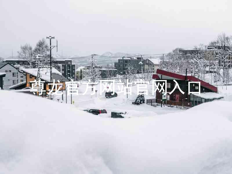 尊龙官方网站官网入口
