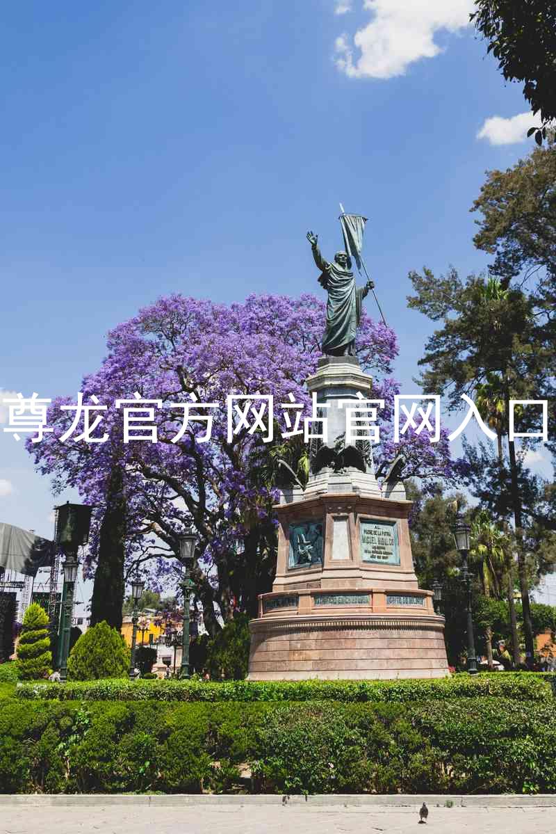 尊龙官方网站官网入口