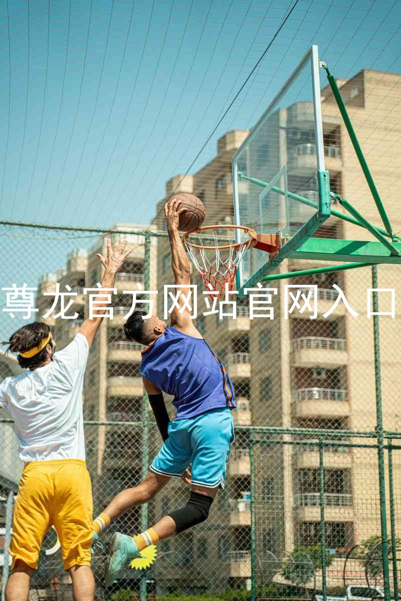 尊龙官方网站官网入口