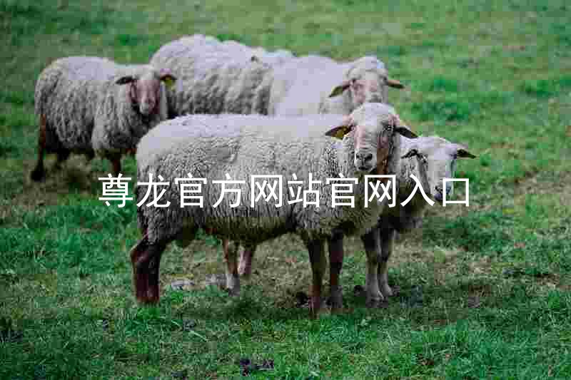 尊龙官方网站官网入口