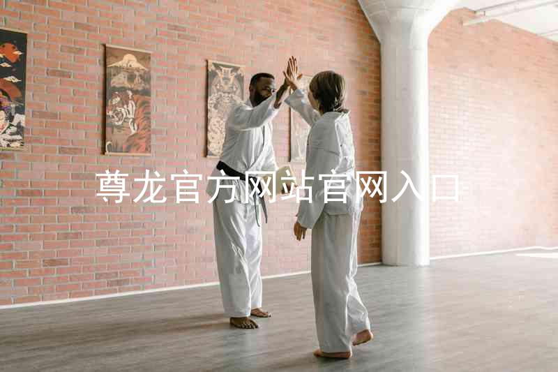 尊龙官方网站官网入口